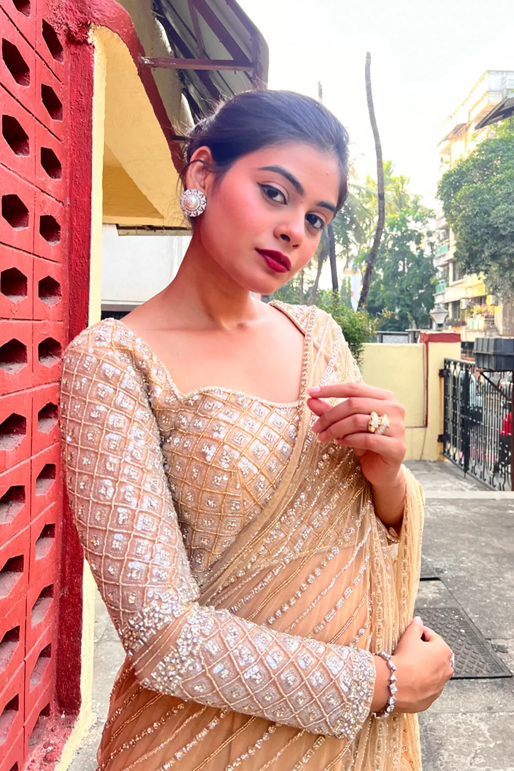 Pre-Draped Saree